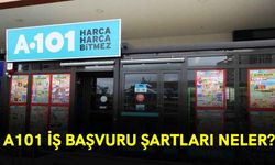 A101 İş Başvuru Şartları Neler?